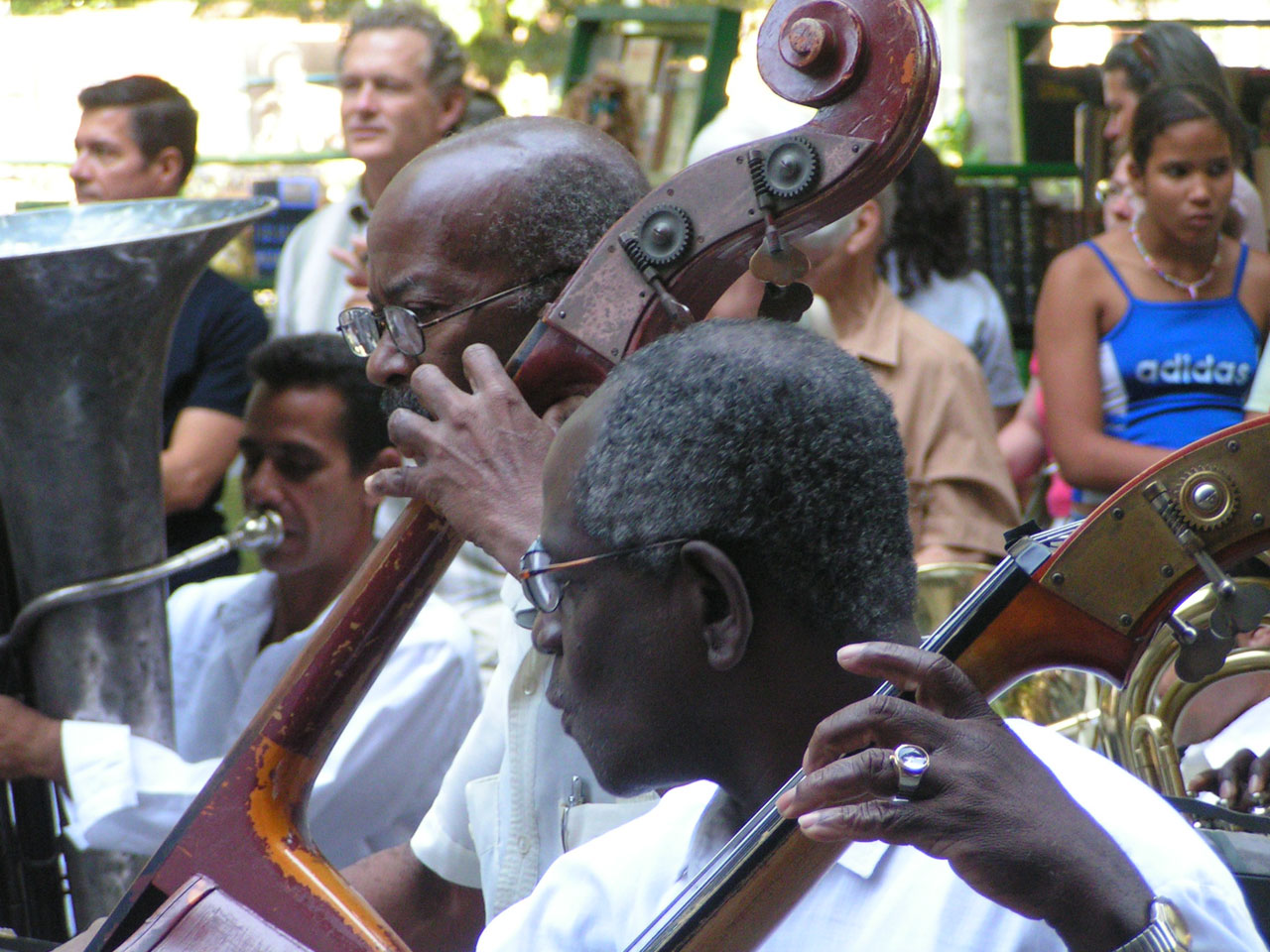 Concentrated at work, classic musicians in Habana 